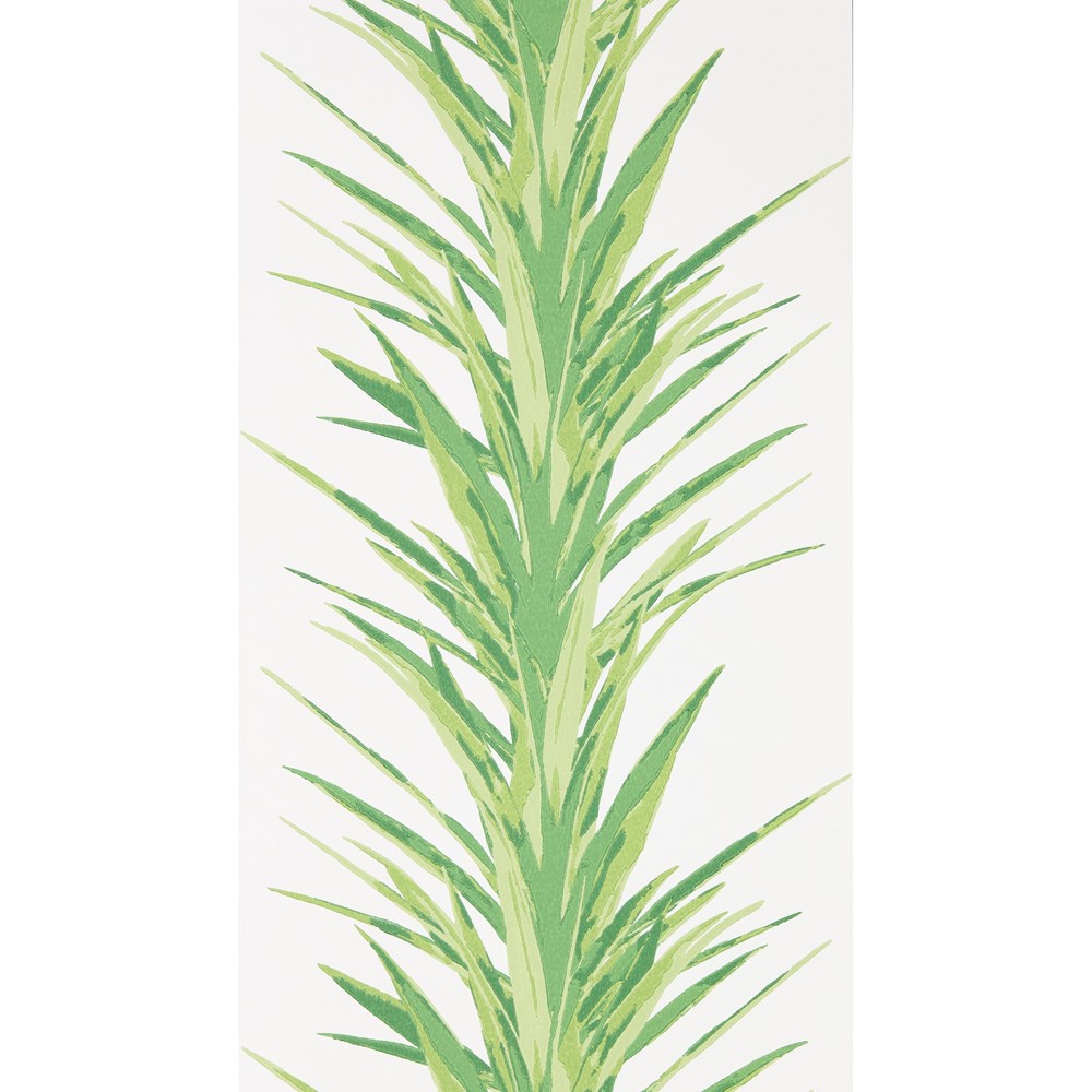 Yucca Wallpaper 216649 by Sanderson in Botanical Green